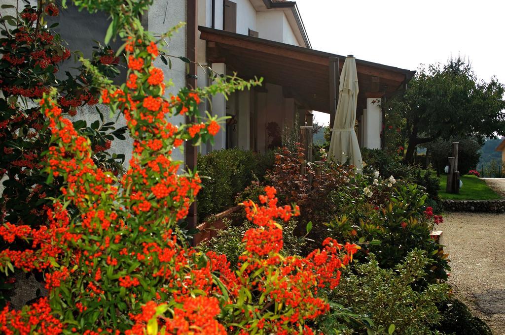 La Staccionata Villa Arpino Ngoại thất bức ảnh