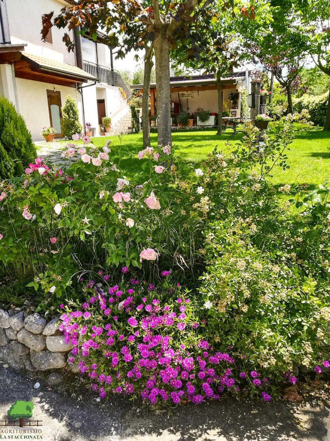 La Staccionata Villa Arpino Ngoại thất bức ảnh